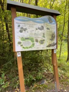 Holztafel vor Baumkulisse mit Erklärung von heimischen Lurchen